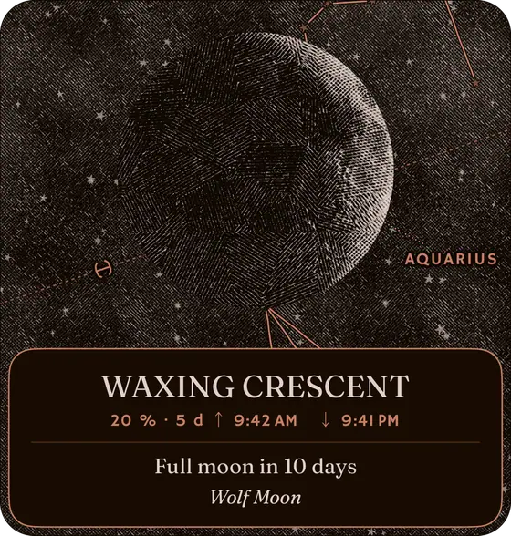Moon Phase · Large