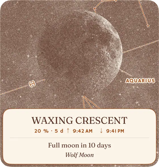 Moon Phase · Large