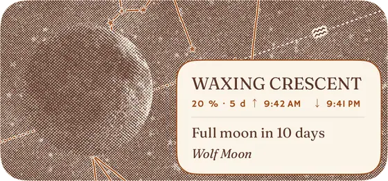 Moon Phase · Medium