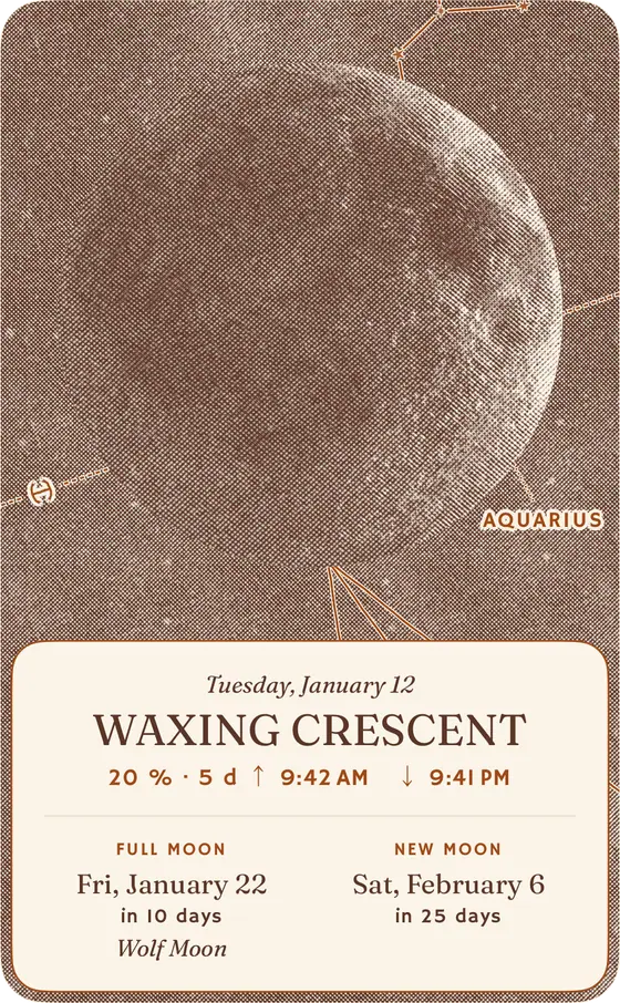 Moon Phase · Extra large